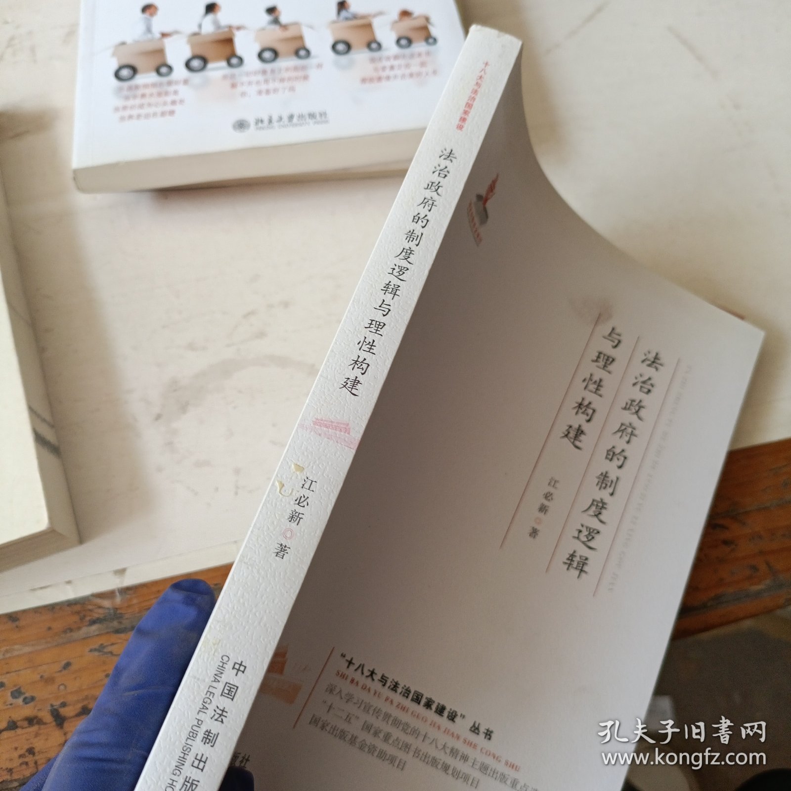 法治政府的制度逻辑与理性构建·十八大与法治国家建设