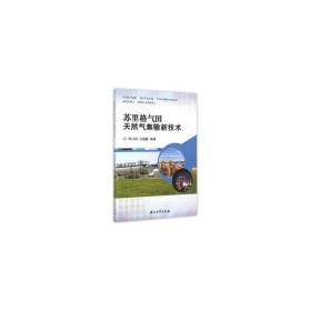 苏里格气田集输新技术 石油天然气 韩兴刚，冯朋鑫编