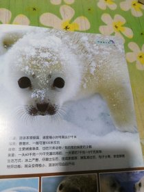 百科探秘 海底世界 2012.03