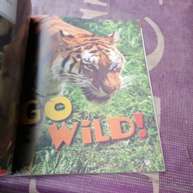 Reading/Writing(G1-U4)