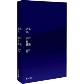 新华正版 遇见你,而后有悬崖 丝绒陨诗集 丝绒陨 9787559854377 广西师范大学出版社