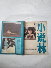 小说林1985年第3期