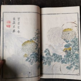 白纸精刻套印，嘉庆年《菊谱》！芥子园焕记