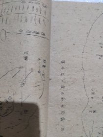 线装大开土纸油印本猪针灸术附简易膳猪法