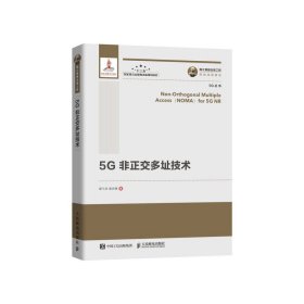 【正版书籍】国之重器出版工程5G非正交多址技术