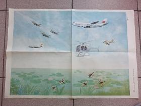 70年代2开教学挂图:飞机蜻蜓
