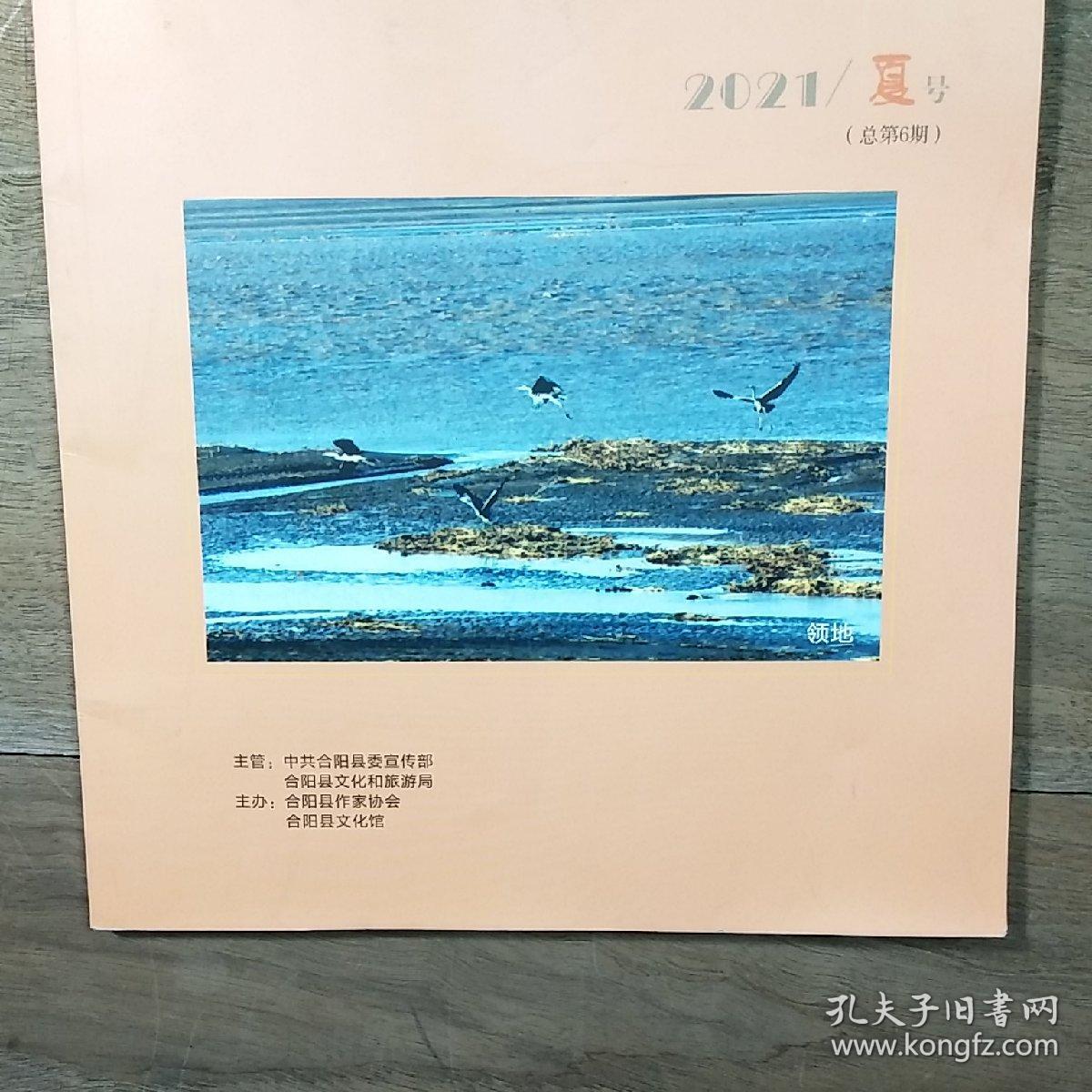 【综合文学季刊】《洽川》2021年夏号（总第6期），内容丰富，内页干净，品相好！
