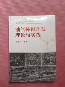 油气体积开发理论与实践（全新未开封）