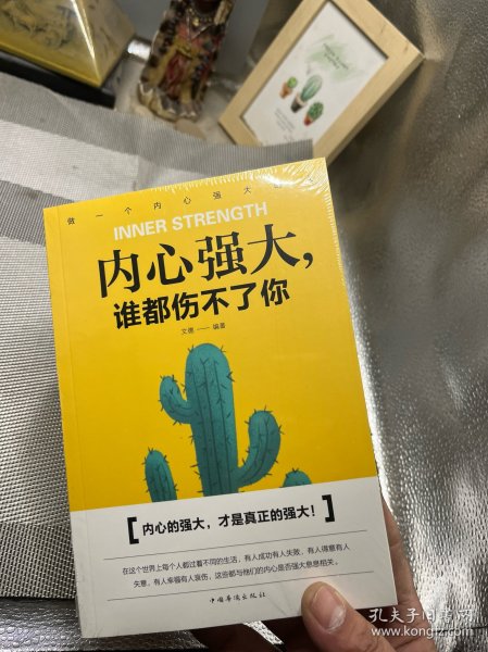 内心强大，谁都伤不了你（人生金书·裸背）