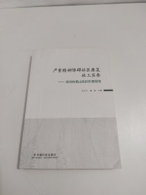 严重精神障碍社区康复社工实务：深圳市南山区的外展服务