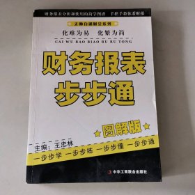财务报表步步通(图解版)（无师自通财会系列）