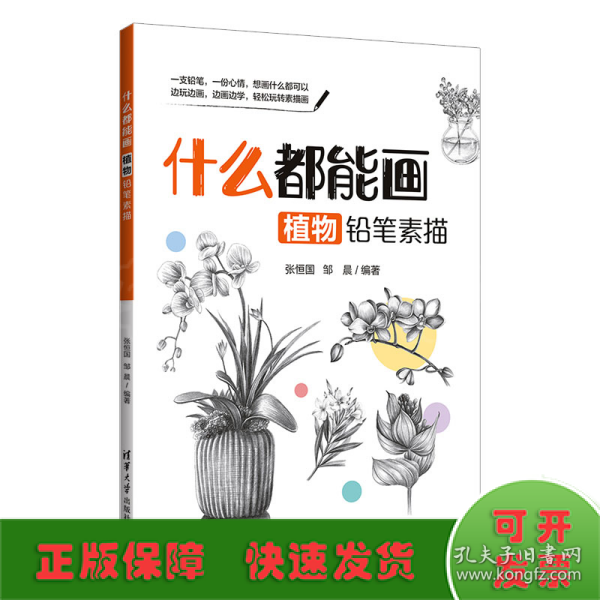 什么都能画：植物铅笔素描