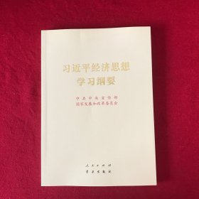 习近平经济思想学习纲要（16开）