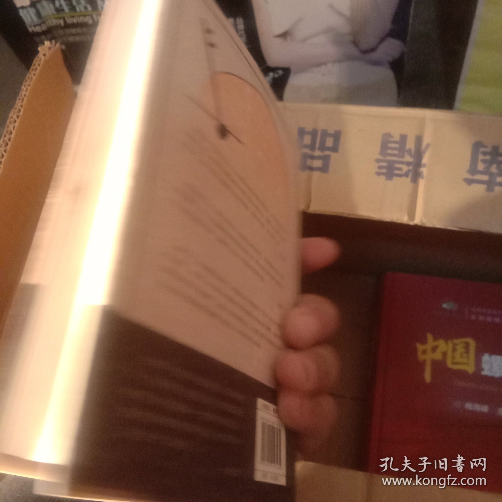 张爱玲给我的信件（精装纪念版）1920—2020张爱玲诞辰100周年