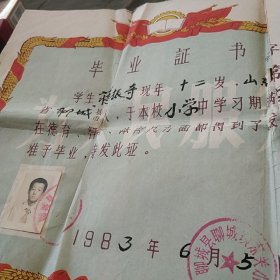 1983年1984年毕业证书带照片两张合售