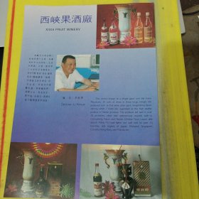 西峡果酒厂 河南资料 广告纸 广告页