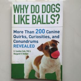 英文原版 Why Do Dogs Like Balls? 为什么狗喜欢球？