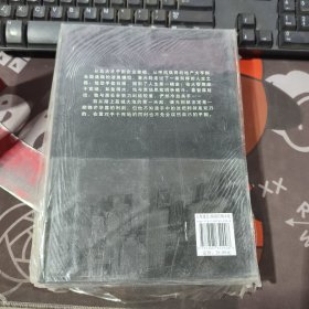 长篇小说：隐患
