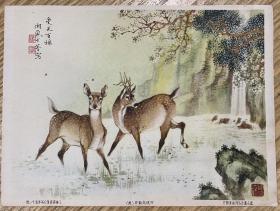 民国画片16开，马、鹿、虎、狗。4幅一套合售。戈湘岚绘画