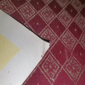 明星 周慧敏 玉女心经