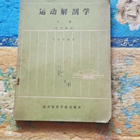 运动解剖学