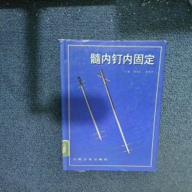 髓内钉内固定