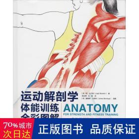 运动解剖学：体能训练全彩图解