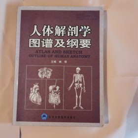 人体解剖学图谱及纲要