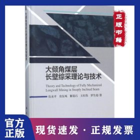 大傾角煤層長壁綜采理論與技術(shù)(精) 9787030538611