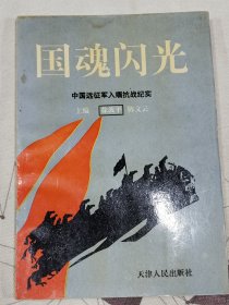 中国远征军入缅抗战纪实