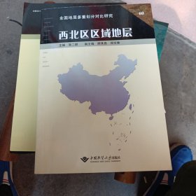 西北区区域地层