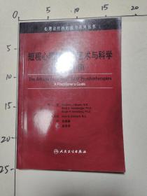 心理治疗核心能力系列丛书·短程心理治疗的艺术与科学（翻译版）