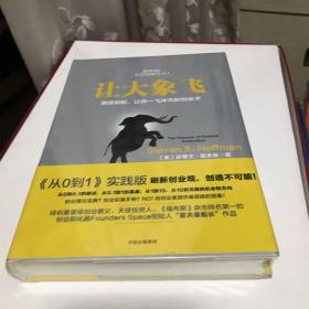 让大象飞:激进创新，让你一飞冲天的创业术