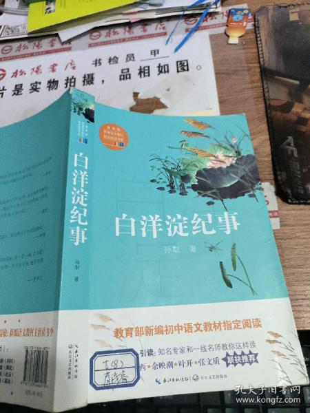 白洋淀纪事（教育部新编语文教材指定阅读书系）