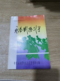 永春剿匪斗争