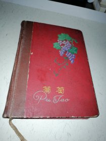 葡萄 笔记本 （60年代老本子）