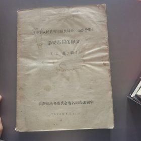 《中华人民共和国地名词典，山东分册）泰安市词条释文（上报稿）