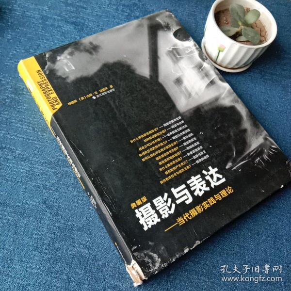 摄影与表达：当代摄影实践与理论(二手)