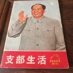 支部生活一革命样板戏画刊。