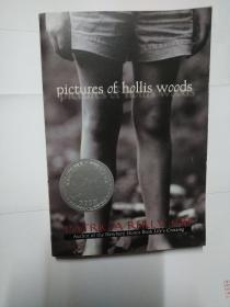 Pictures of Hollis Woods  霍莉的图画