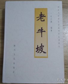 老牛坡:西北大学考古专业田野发掘报告