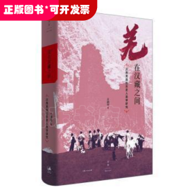 羌在汉藏之间：川西羌族的历史人类学研究（《华夏边缘》作者王明珂经典力作，川西羌族全解）