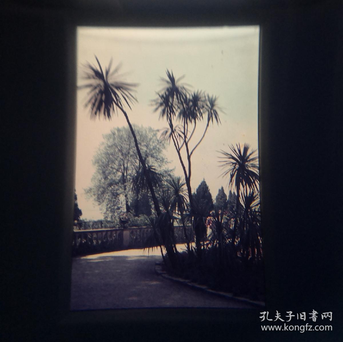 反转片-街景15