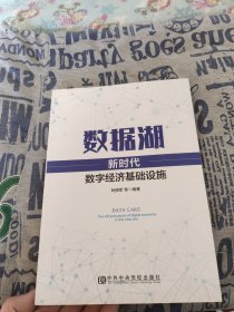 数据湖：新时代数字经济基础设施