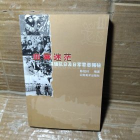 血雾迷茫：滇缅抗日及日军罪恶揭秘/中国远征军滇西大战系列丛书