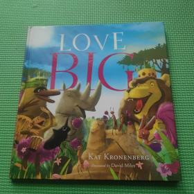 Love Big 精裝