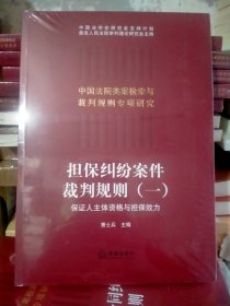 担保纠纷案件裁判规则（一）：保证人主体资格与担保效力