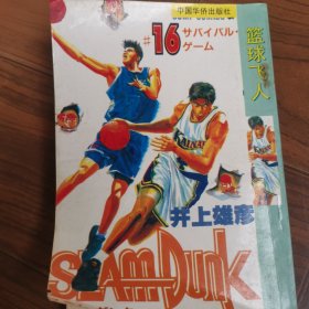 篮球飞人 16