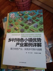 乡村特色小镇优势产业案例详解