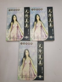 天降美妻1-3